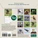 Audubon Eagles 2026 Mini Wall Calendar