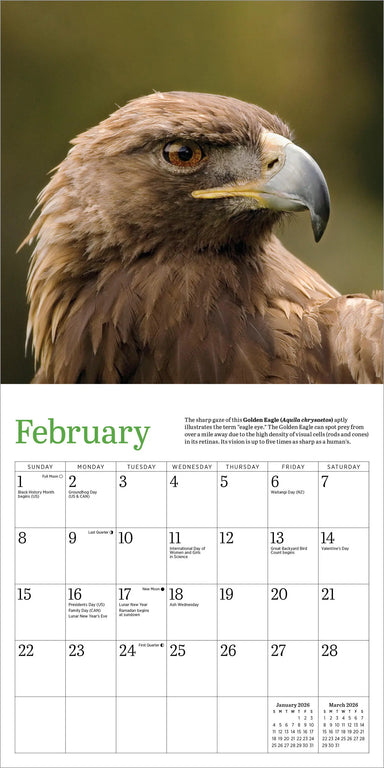 Audubon Eagles 2026 Mini Wall Calendar