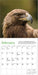 Audubon Eagles 2026 Mini Wall Calendar