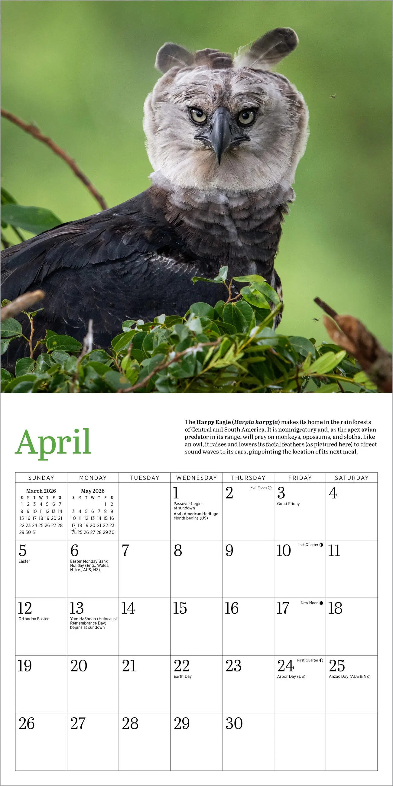 Audubon Eagles 2026 Mini Wall Calendar