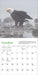 Audubon Eagles 2026 Mini Wall Calendar