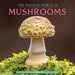 The Magical World of Mushrooms 2026 Wall Calendar