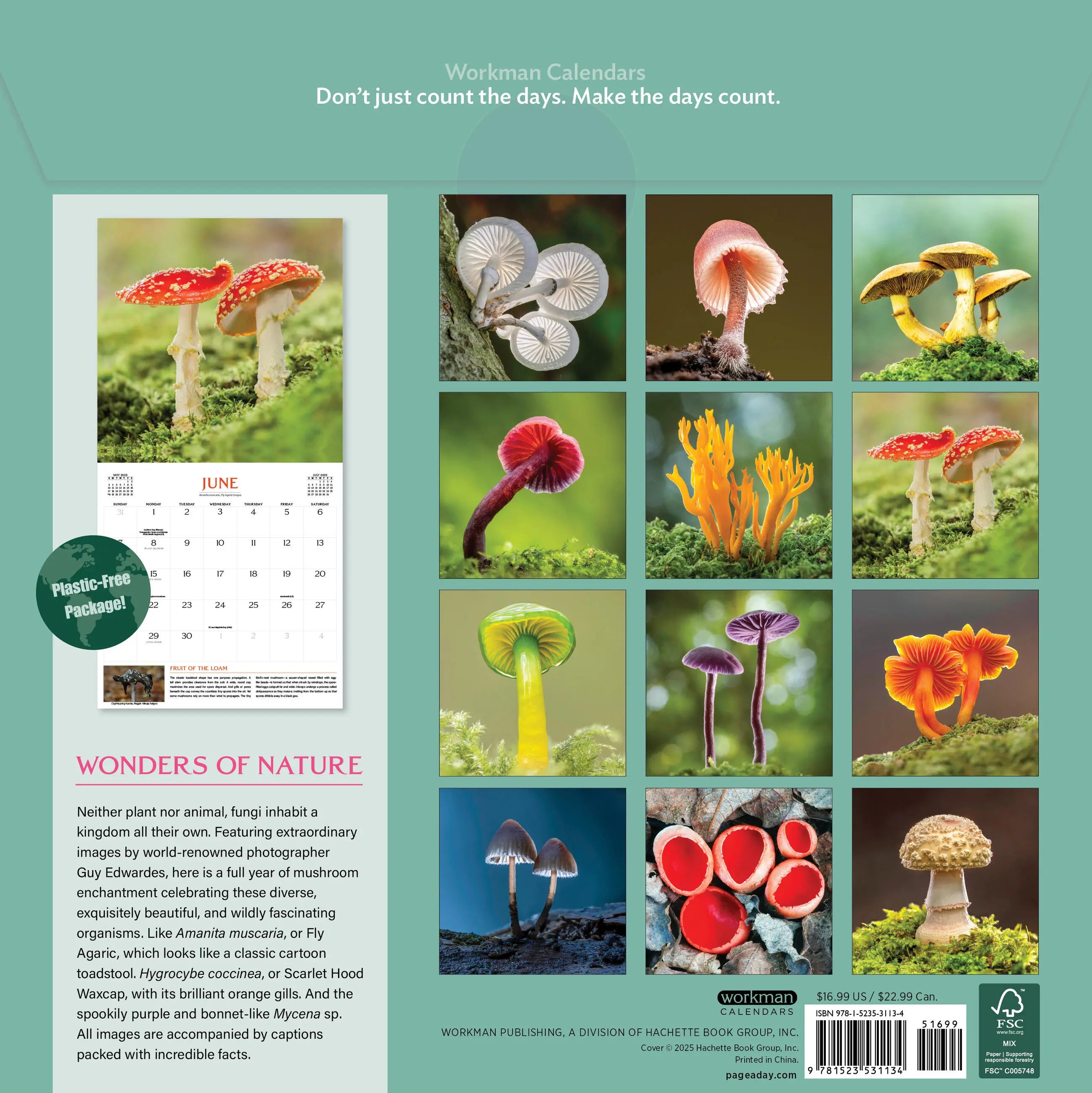 The Magical World of Mushrooms 2026 Wall Calendar