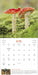 The Magical World of Mushrooms 2026 Wall Calendar