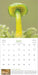 The Magical World of Mushrooms 2026 Wall Calendar