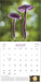 The Magical World of Mushrooms 2026 Wall Calendar