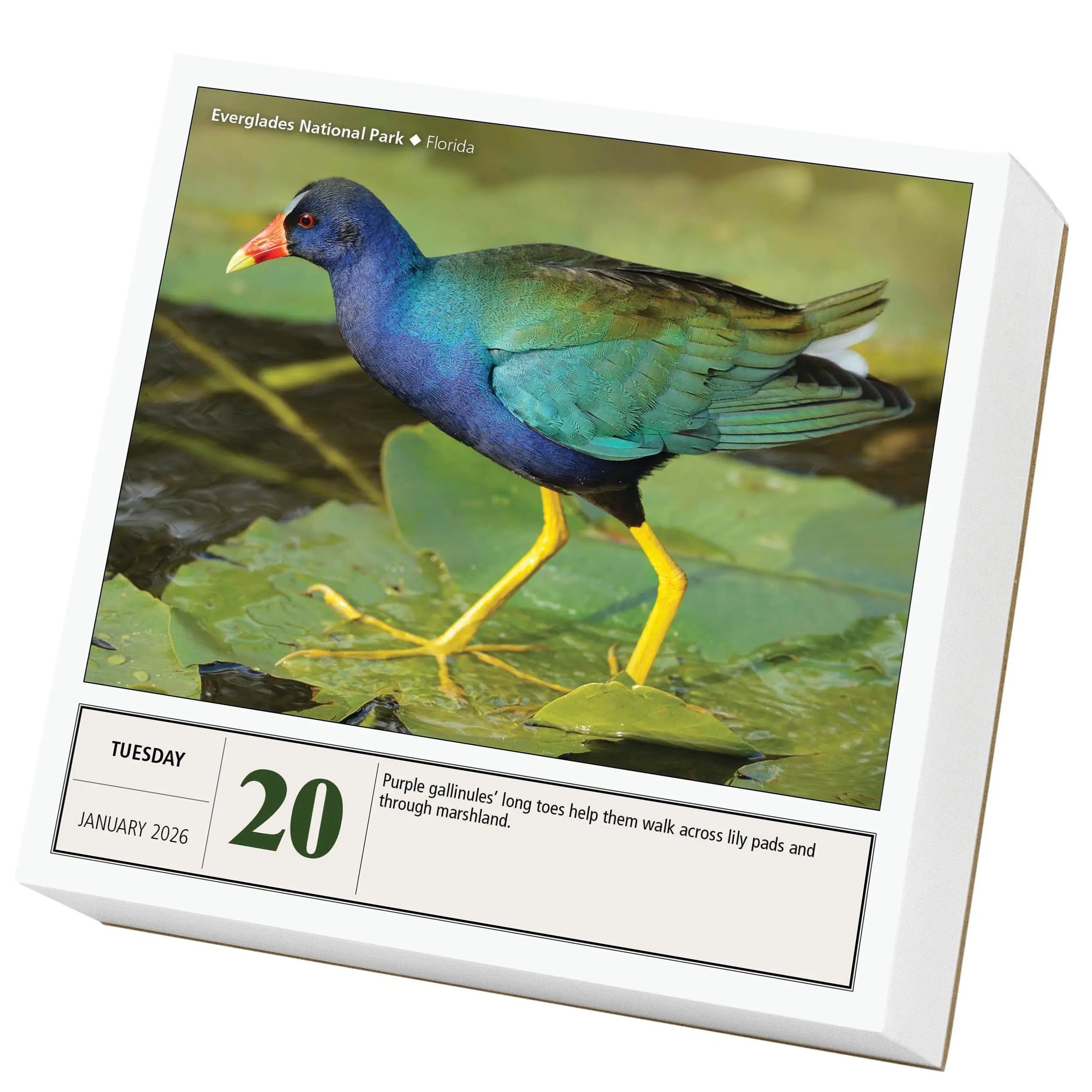 National Parks 2026 Page-a-Day Calendar