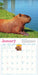 Capybara 2026 Wall Calendar