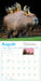 Capybara 2026 Wall Calendar