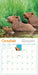 Capybara 2026 Wall Calendar
