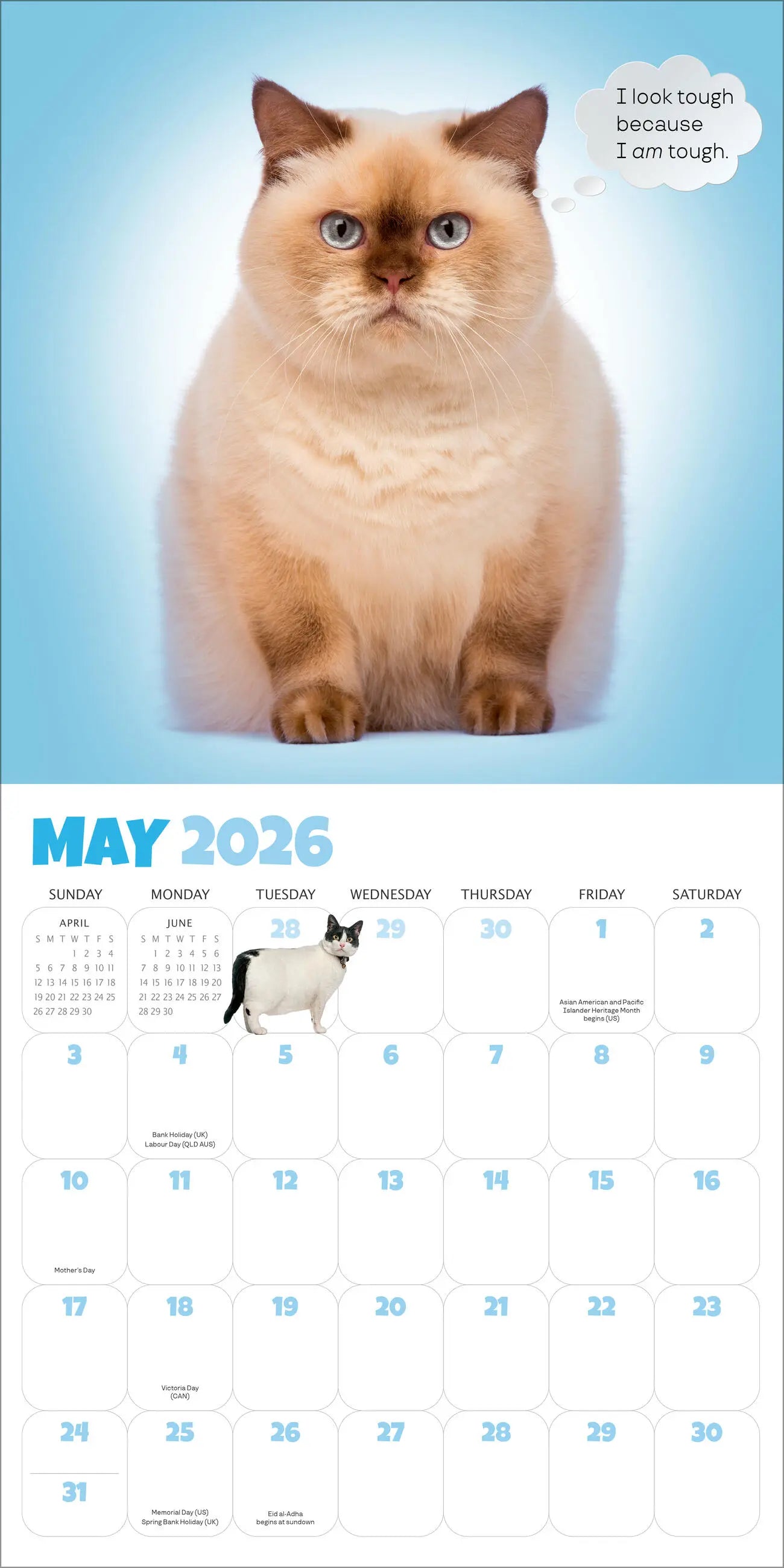 Chonkers 2026 Wall Calendar