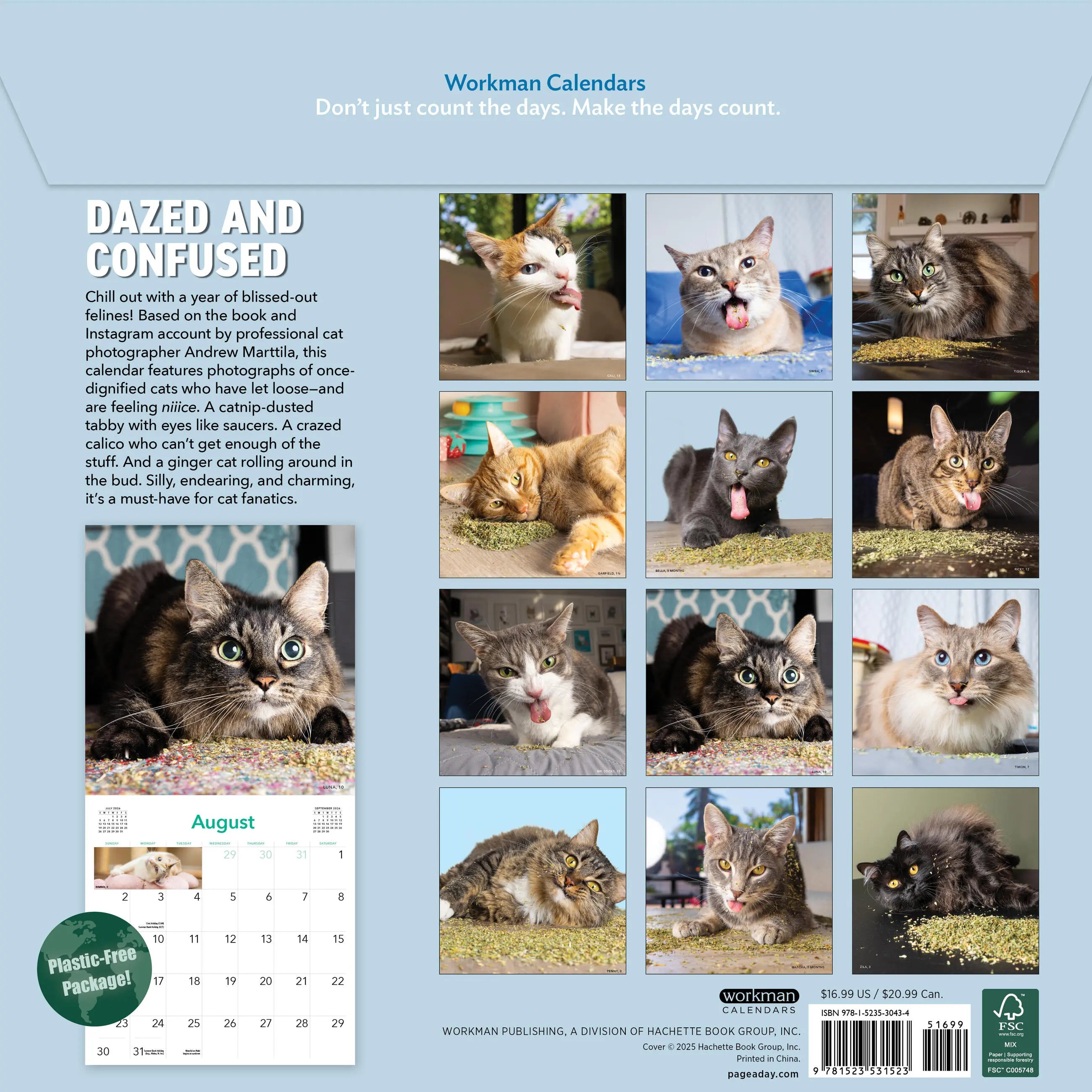 Cats on Catnip 2026 Wall Calendar
