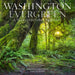 WRK Washington Evergreen 2026 Wall Calendar