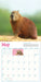 Capybara 2027 Wall Calendar