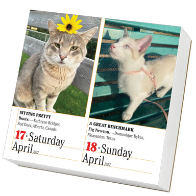 WRK 365 Cats 2027 Page-A-Day® Calendar