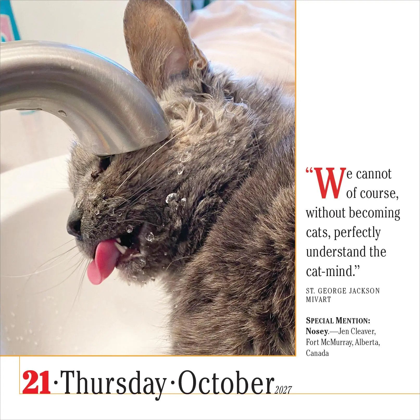 WRK 365 Cats 2027 Page-A-Day® Calendar