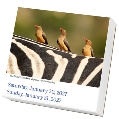 WRK Audubon Birds 2027 Page-A-Day® Calendar