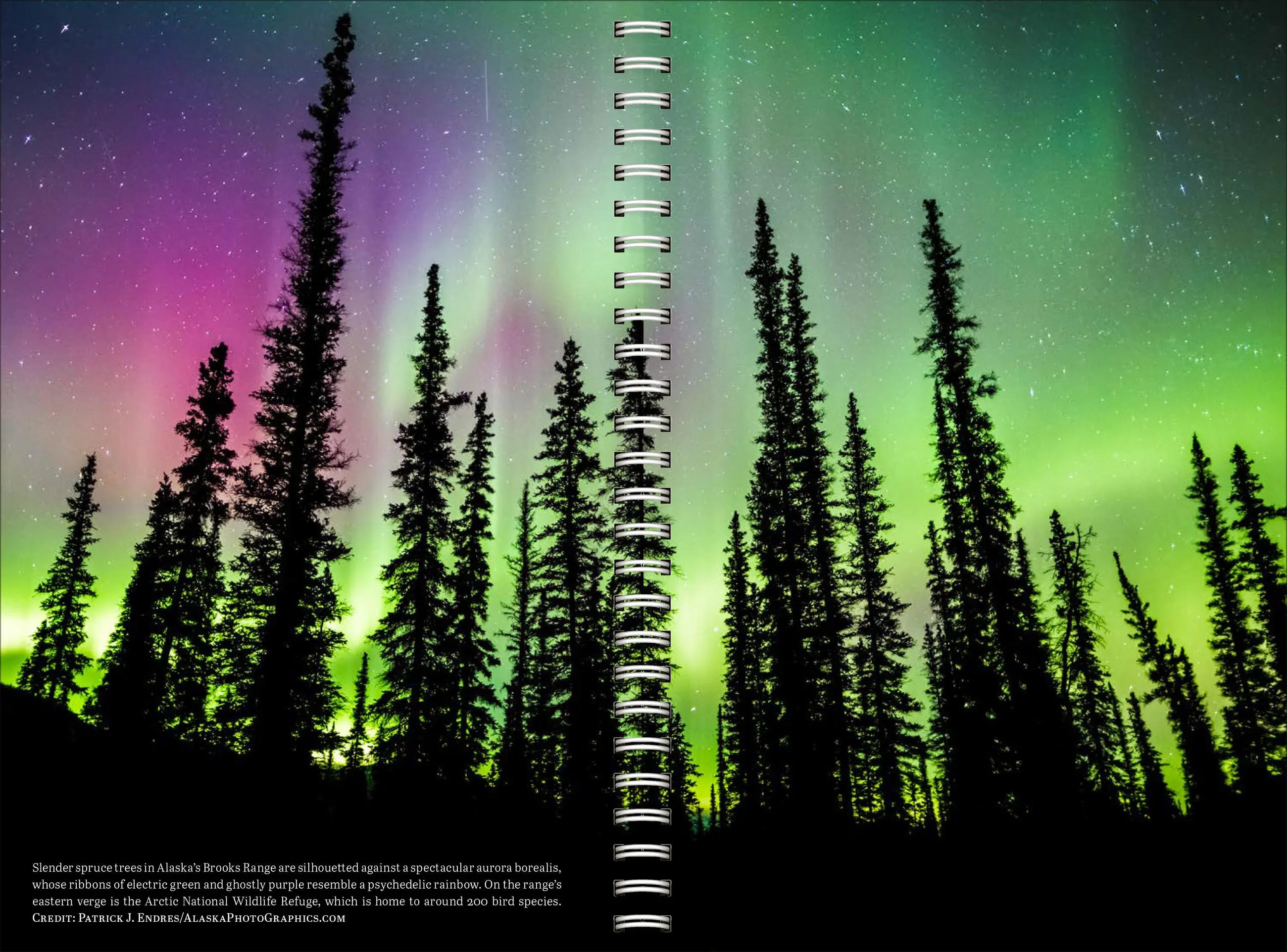 WRK Audubon Engagement Calendar 2027
