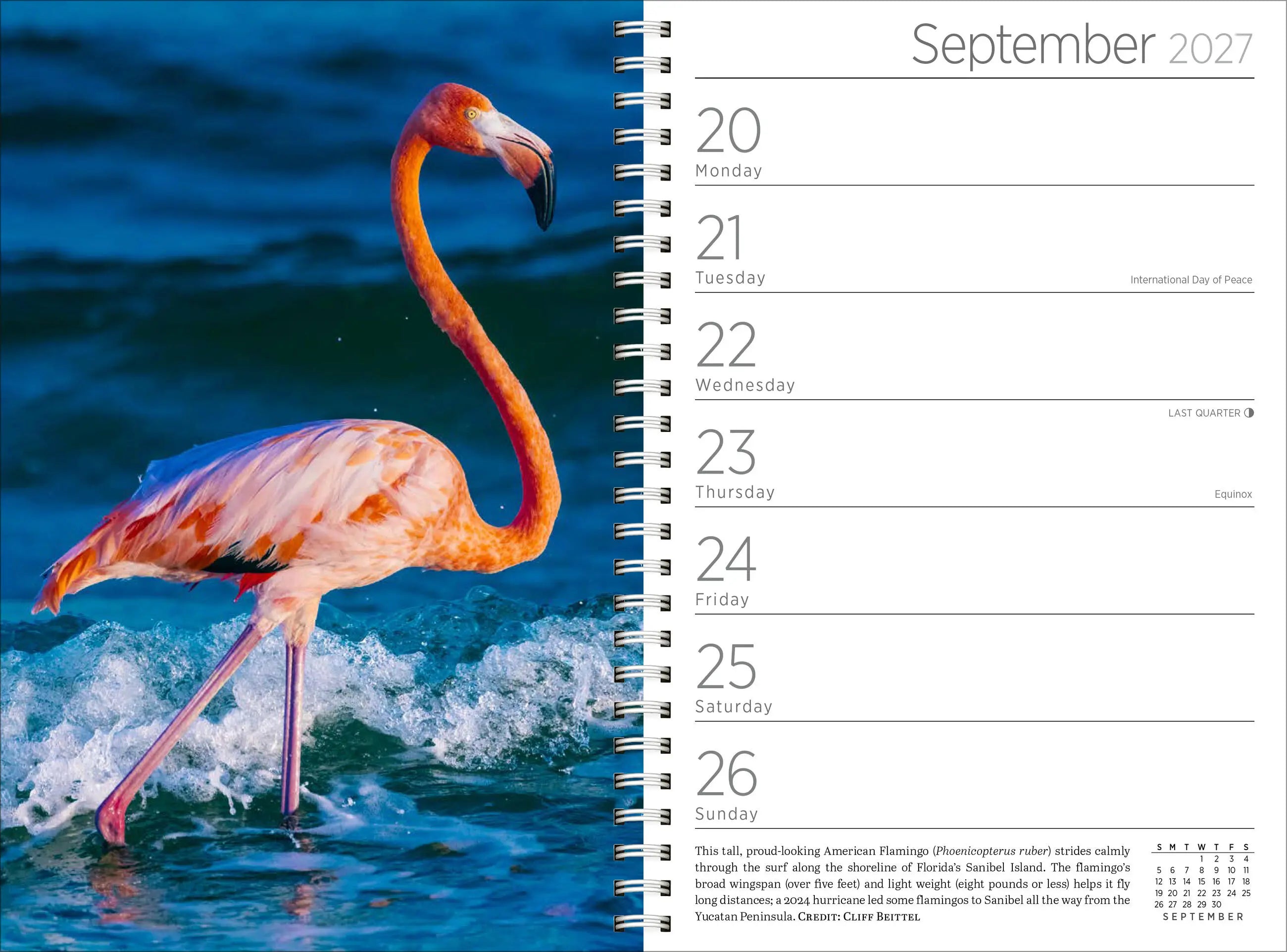 WRK Audubon Engagement Calendar 2027