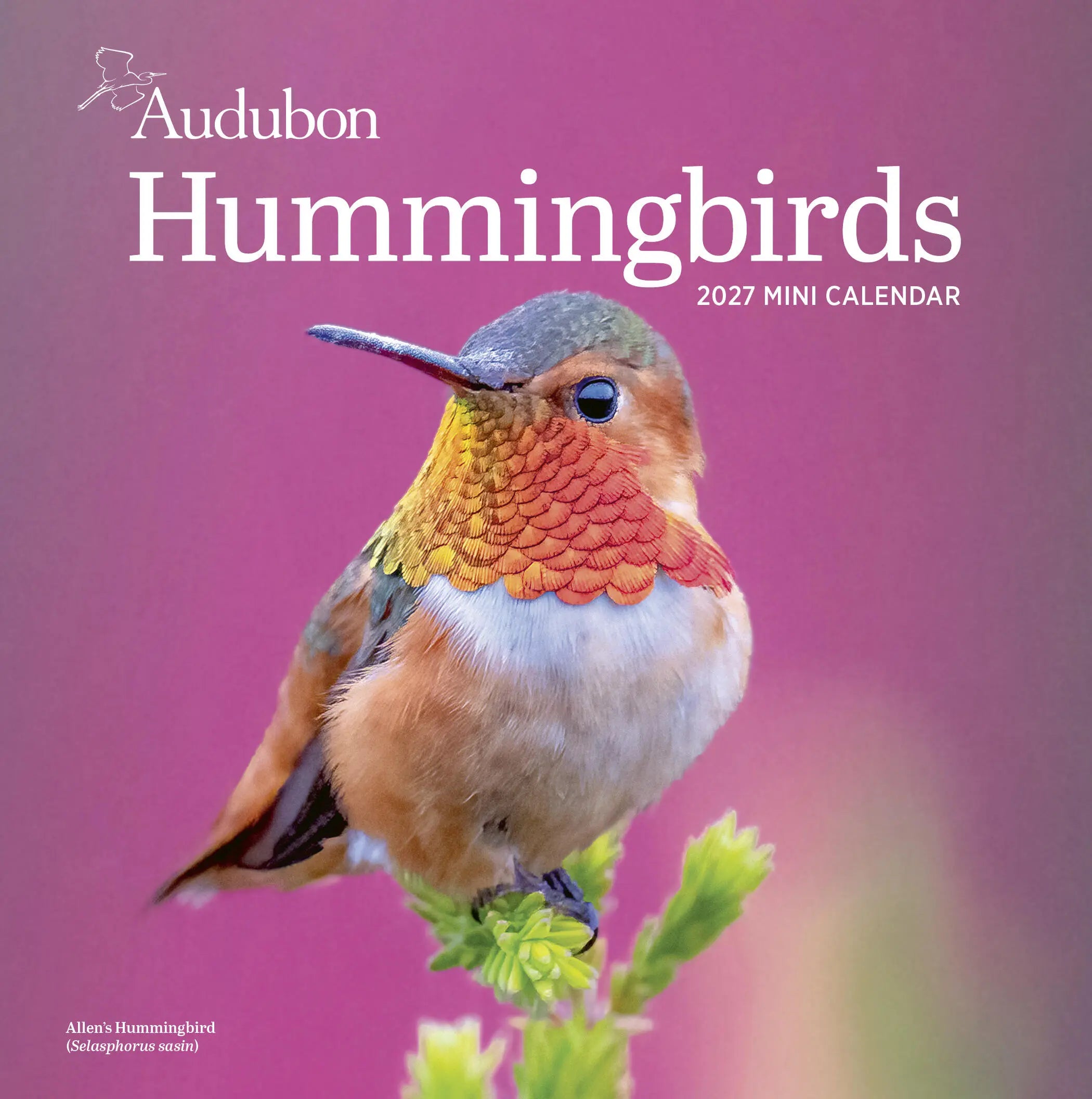 WRK Audubon Hummingbirds 2027 Mini Wall Calendar