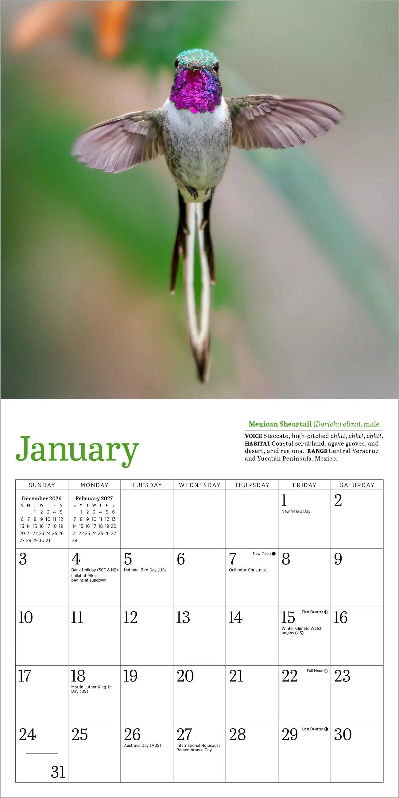 WRK Audubon Hummingbirds 2027 Mini Wall Calendar