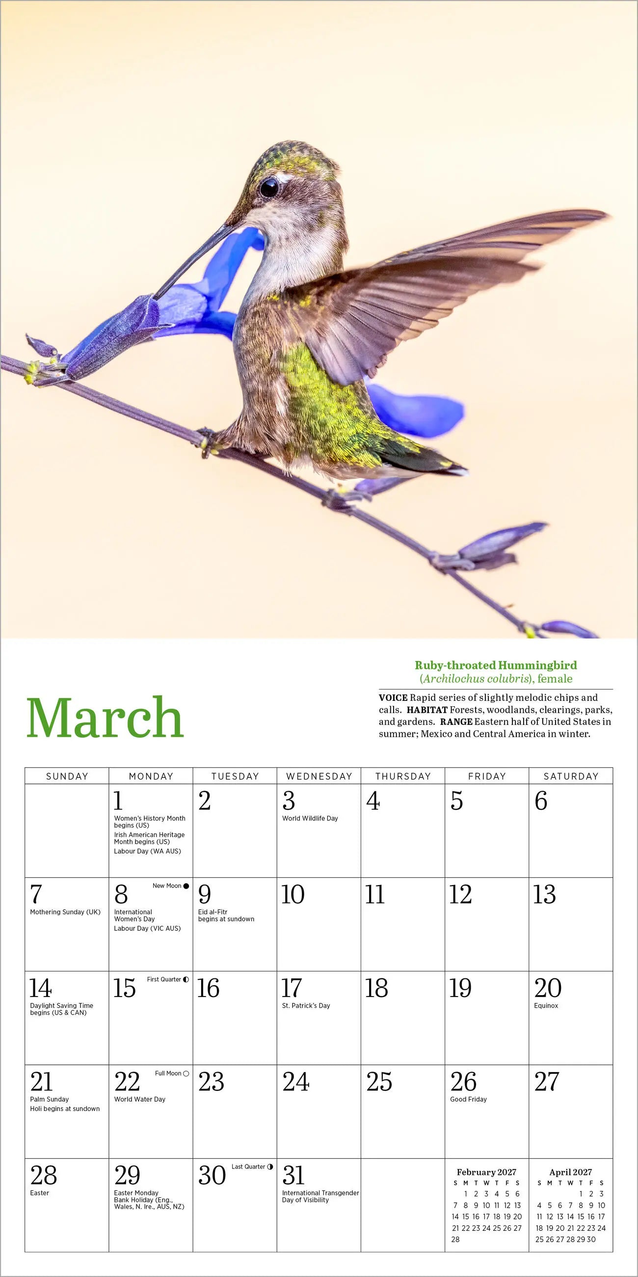WRK Audubon Hummingbirds 2027 Mini Wall Calendar