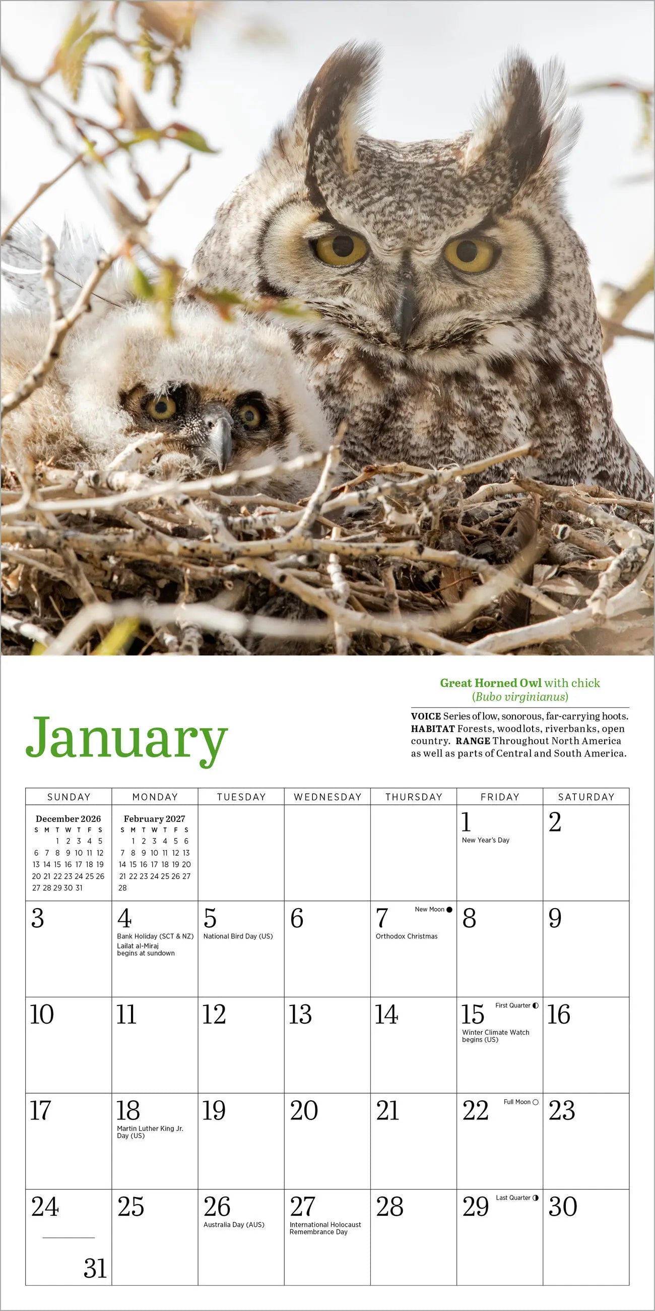 WRK Audubon Little Owls 2027 Mini Wall Calendar