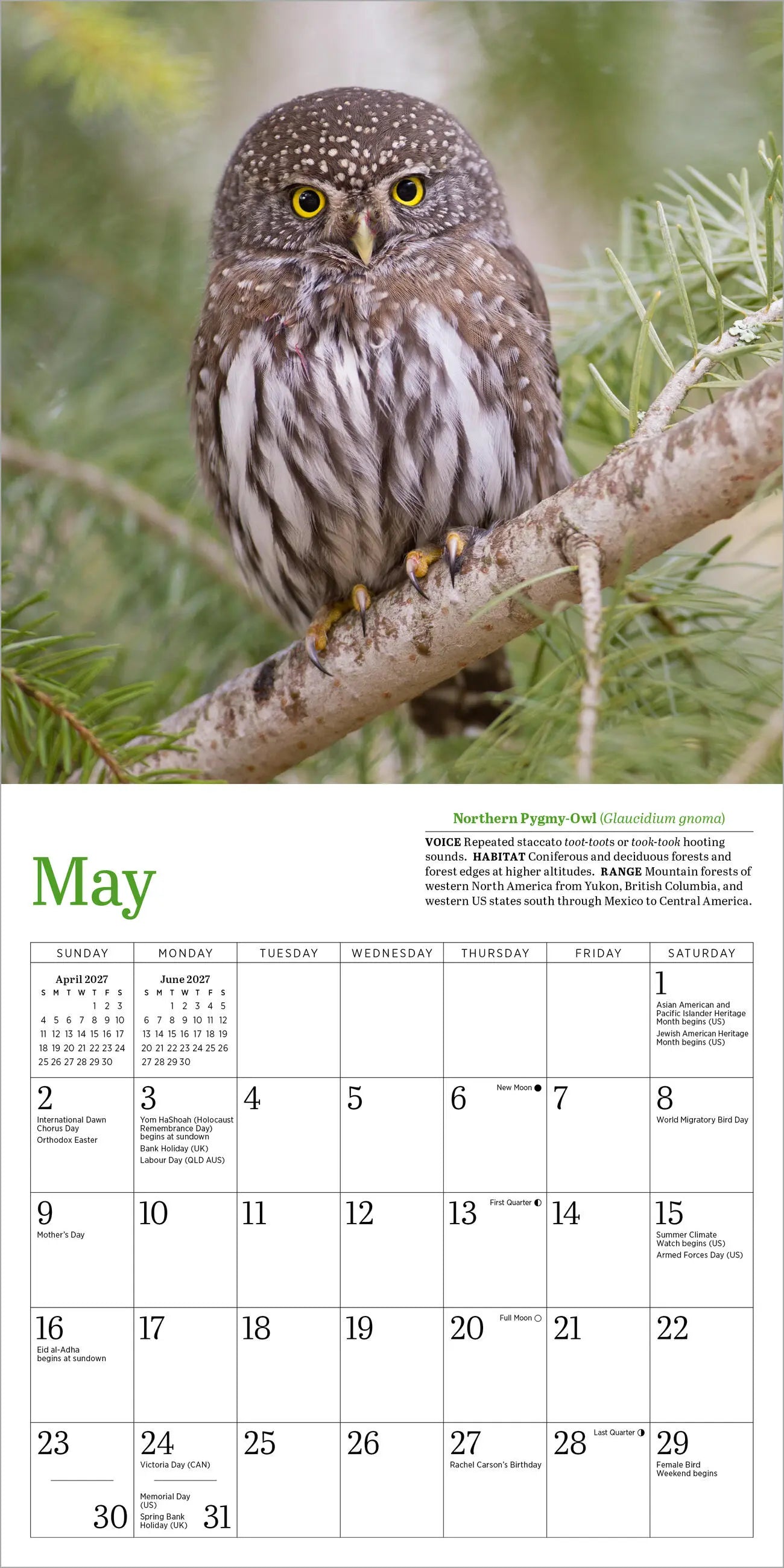 WRK Audubon Little Owls 2027 Mini Wall Calendar