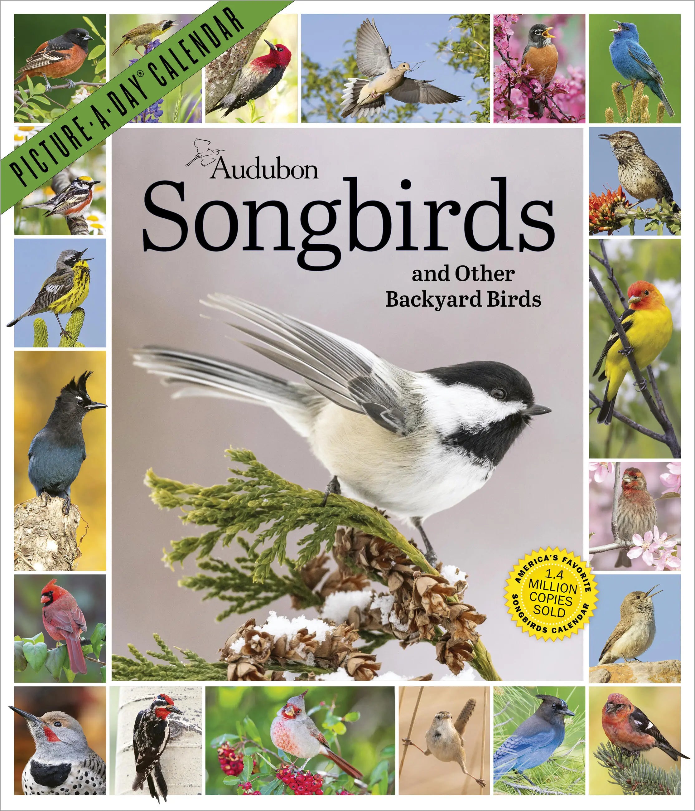 WRK Audubon Songbirds and Other Backyard Birds Picture-A-Day® 2027 Wall Calendar