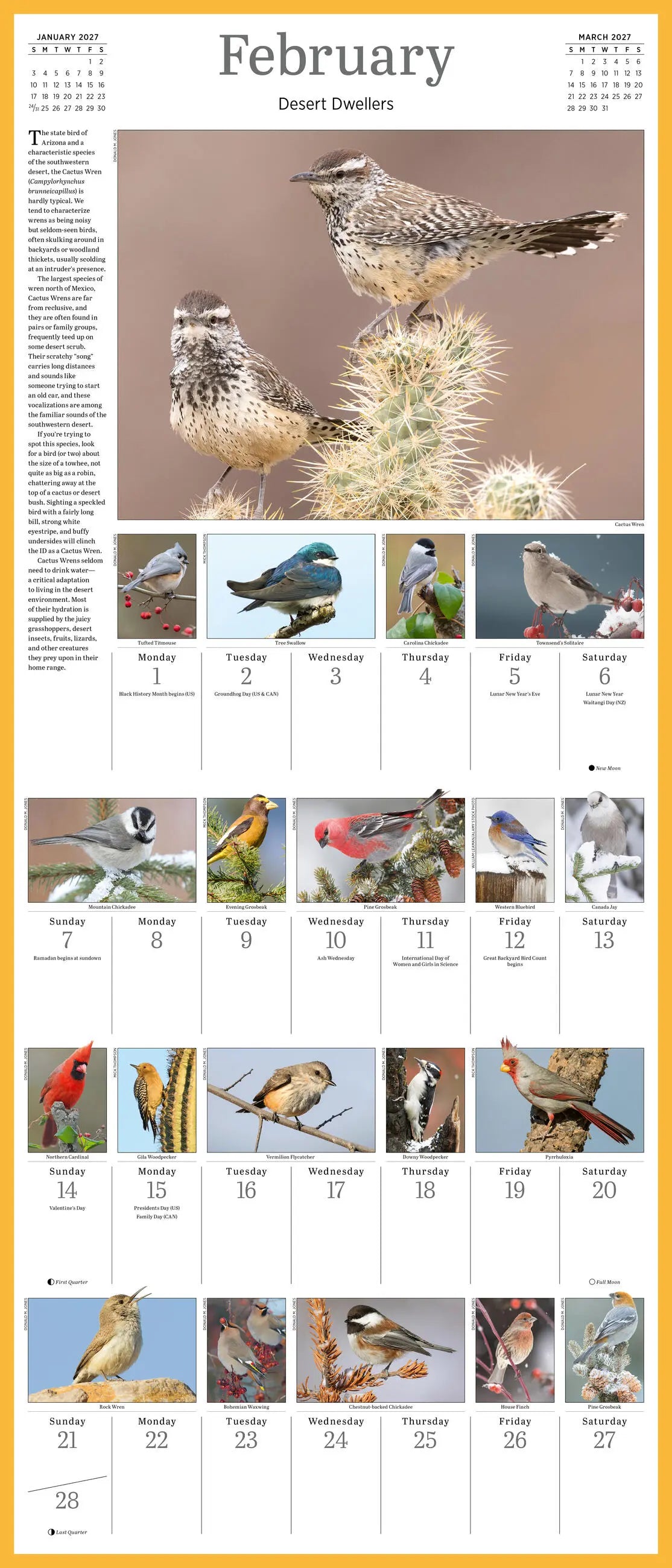 WRK Audubon Songbirds and Other Backyard Birds Picture-A-Day® 2027 Wall Calendar