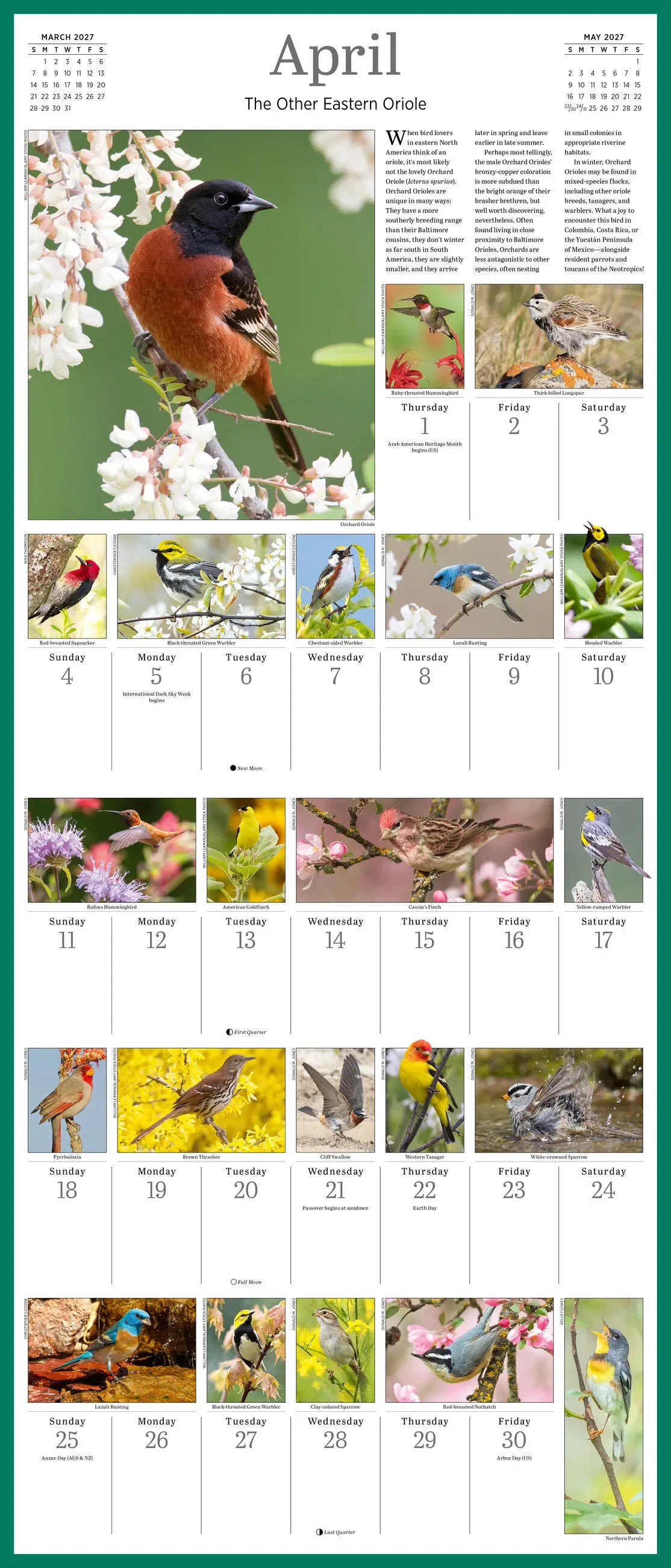 WRK Audubon Songbirds and Other Backyard Birds Picture-A-Day® 2027 Wall Calendar
