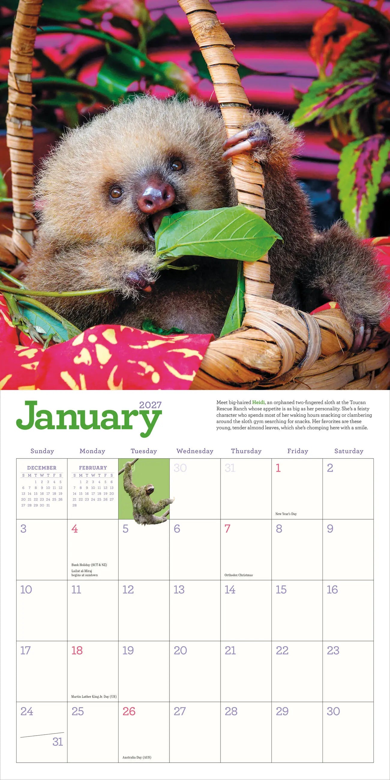 WRK Original Sloths 2027 Wall Calendar