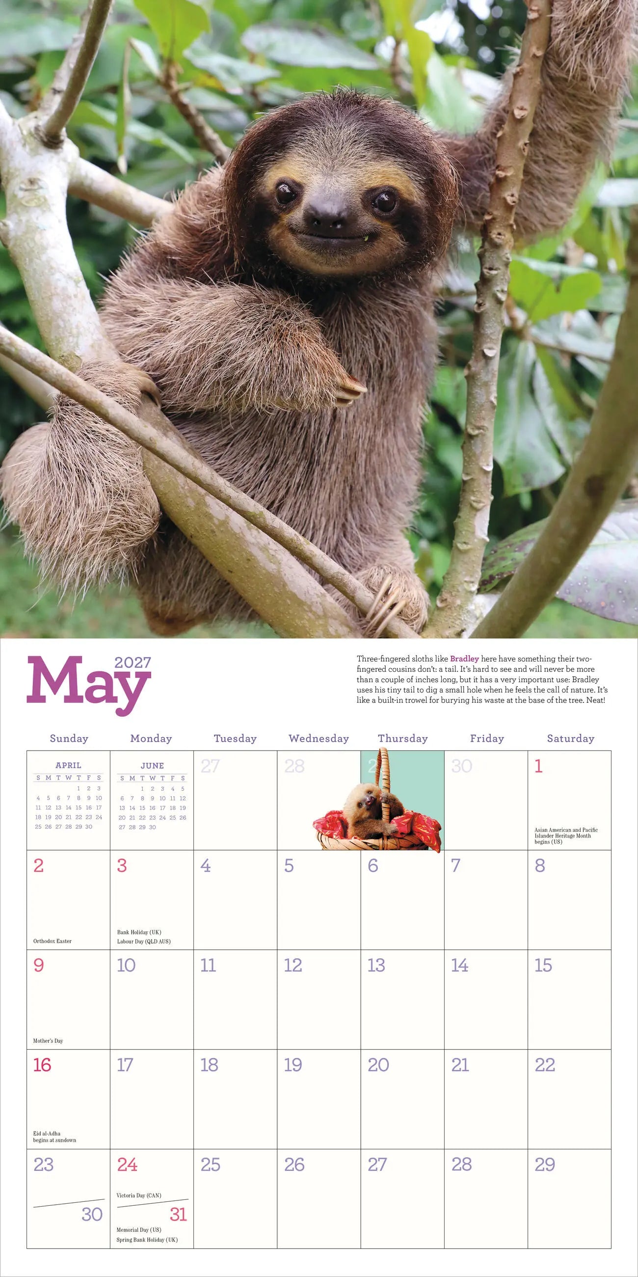 WRK Original Sloths 2027 Wall Calendar