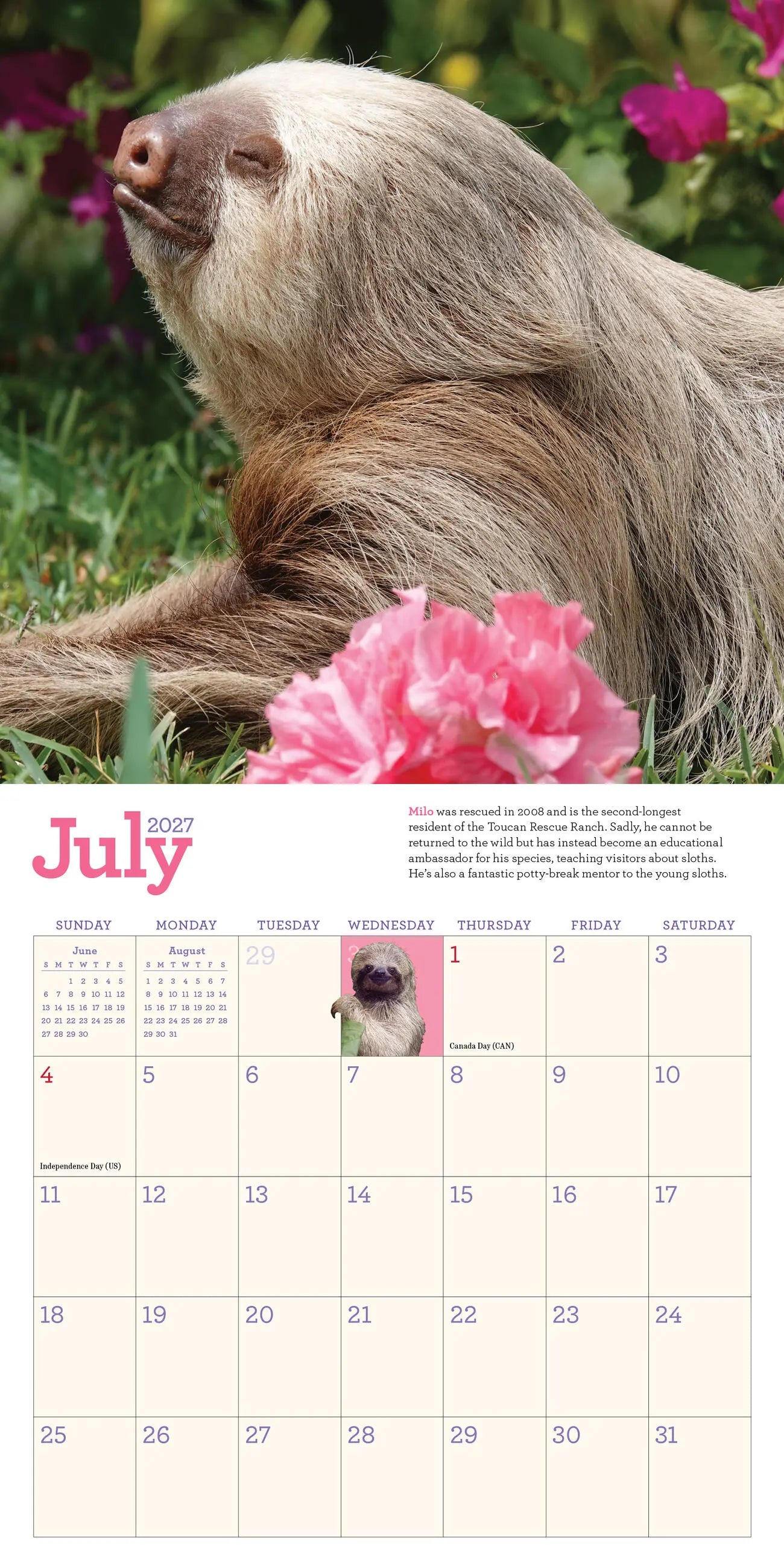 WRK Original Sloths 2027 Mini Wall Calendar