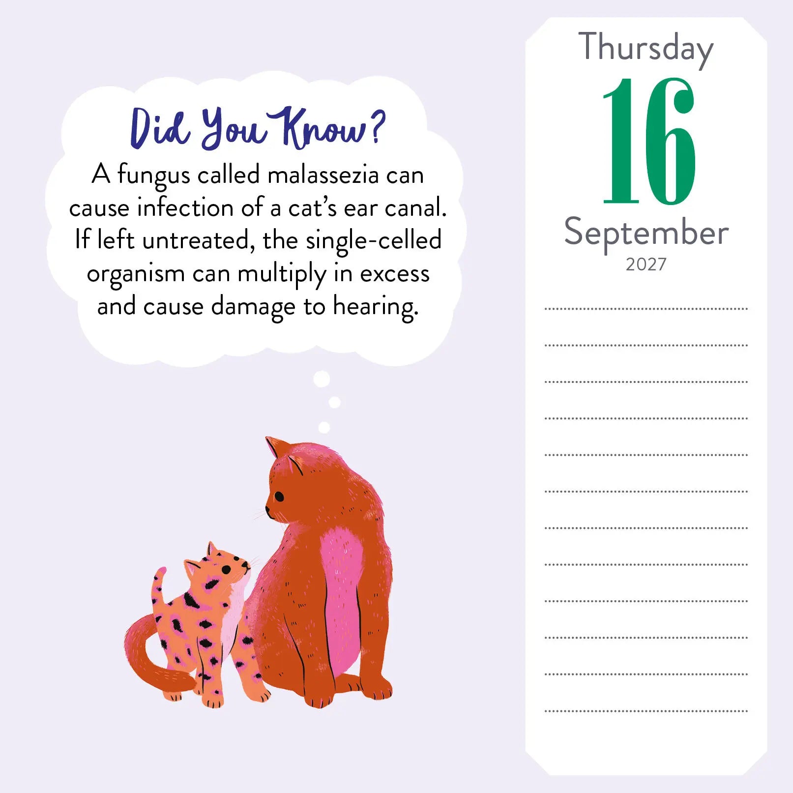 Cat Trivia 2027 Page-A-Day Calendar