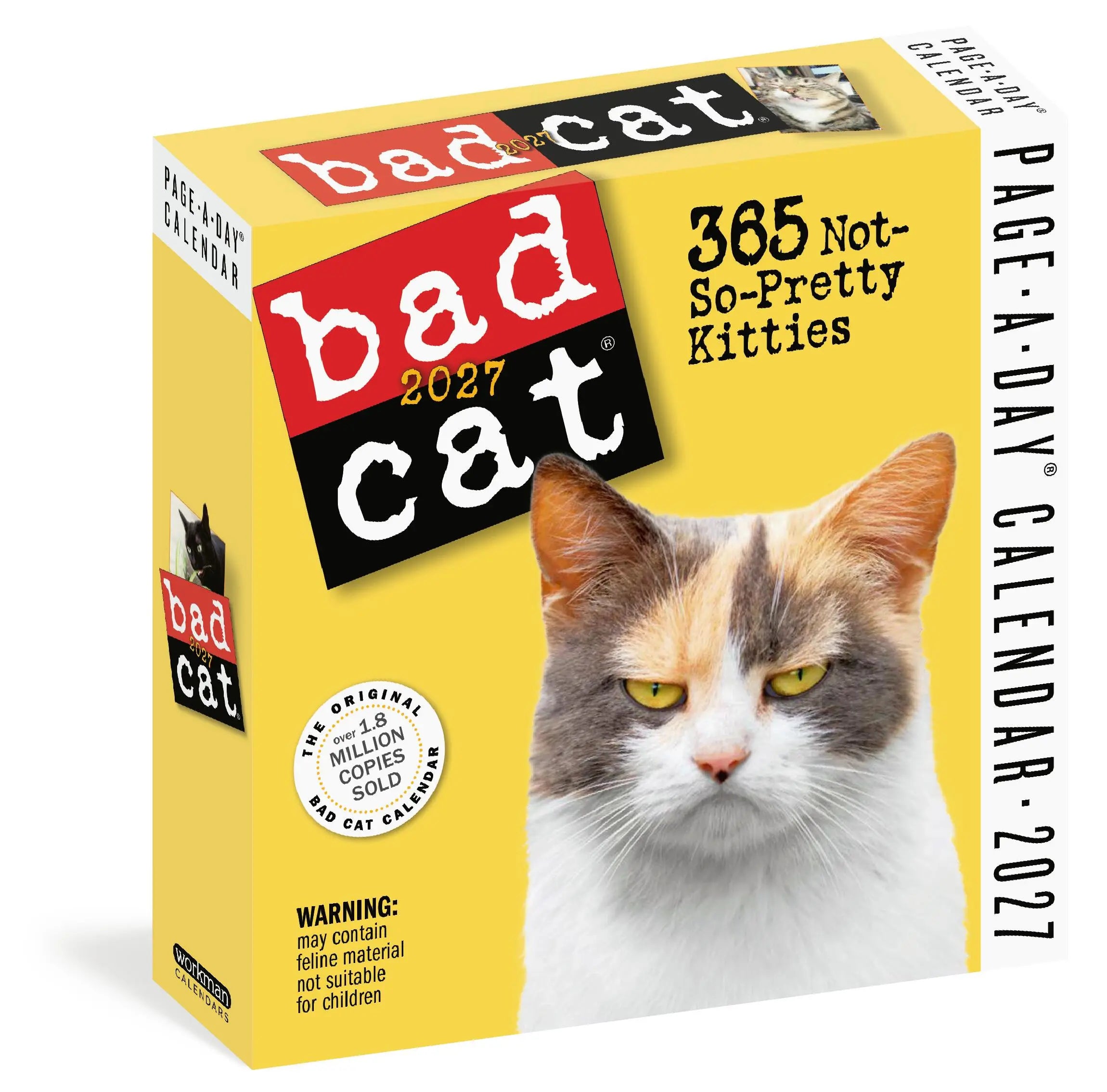 WRK Bad Cat 2027 Page-A-Day® Calendar