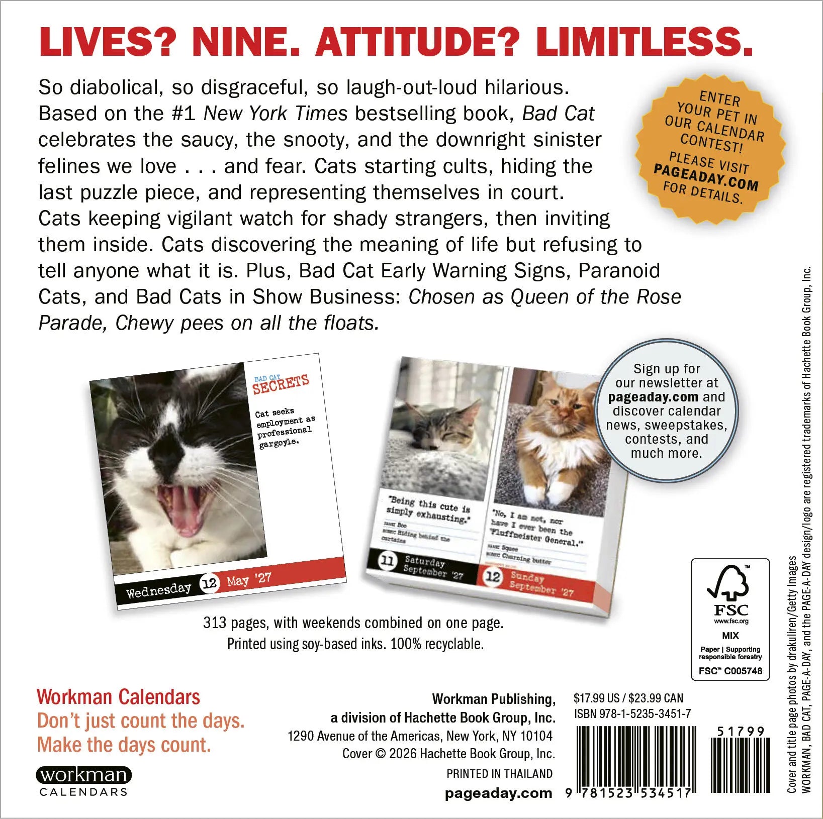 WRK Bad Cat 2027 Page-A-Day® Calendar