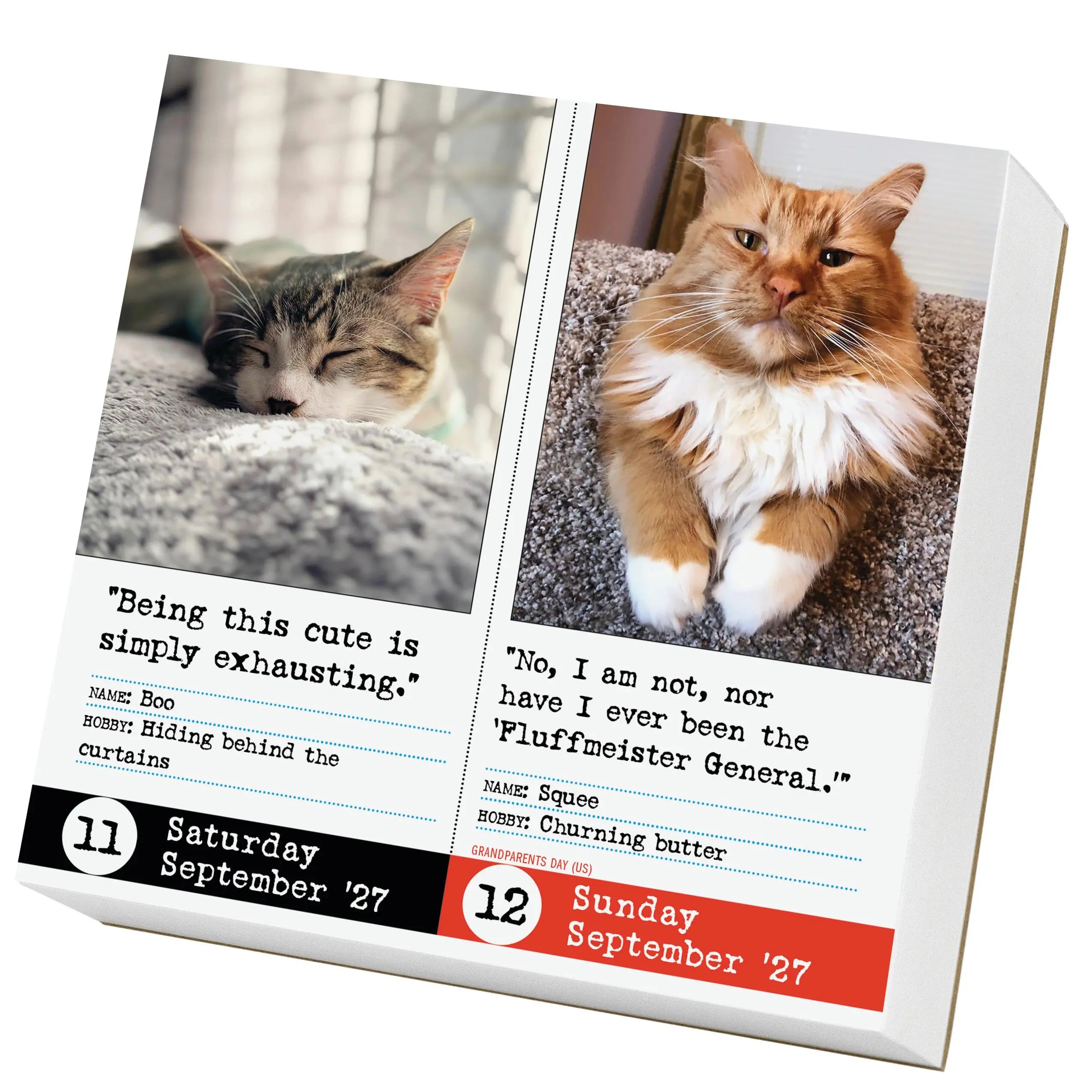 WRK Bad Cat 2027 Page-A-Day® Calendar