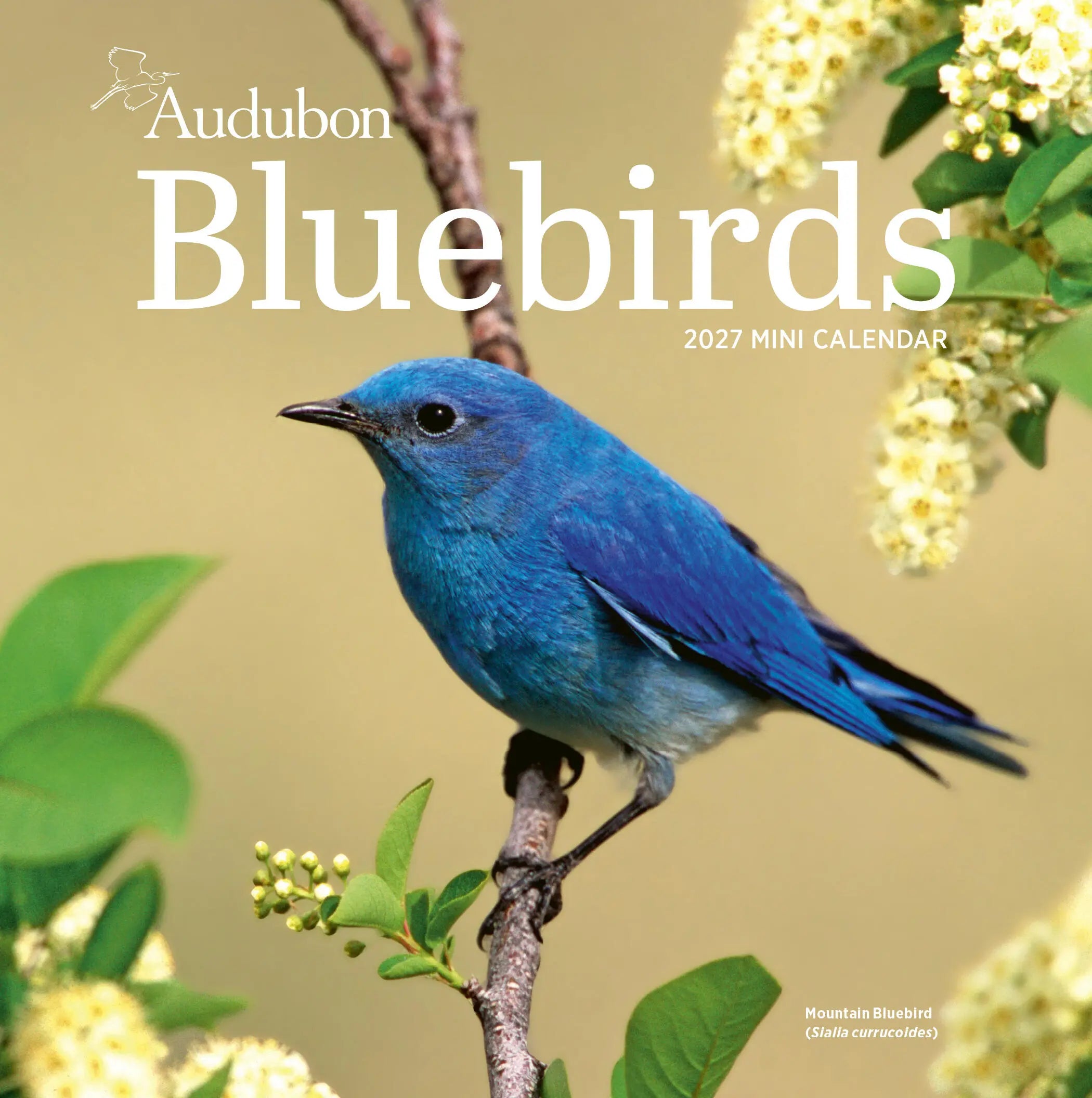 WRK Audubon Bluebirds 2027 Mini Wall Calendar
