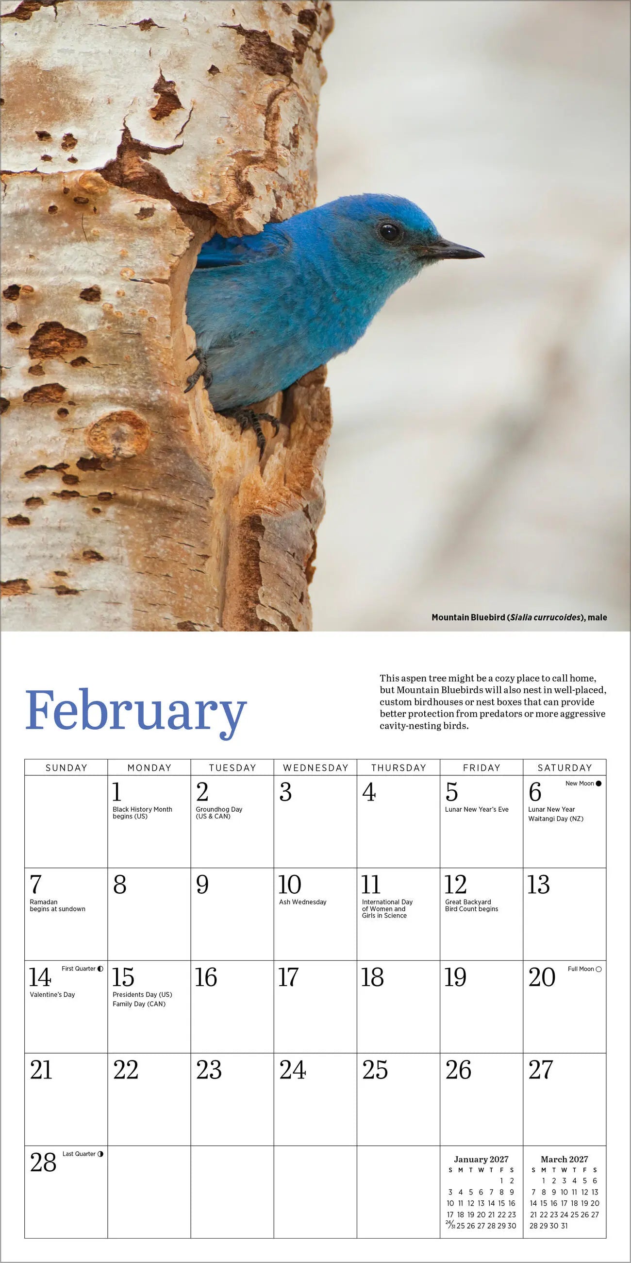 WRK Audubon Bluebirds 2027 Mini Wall Calendar
