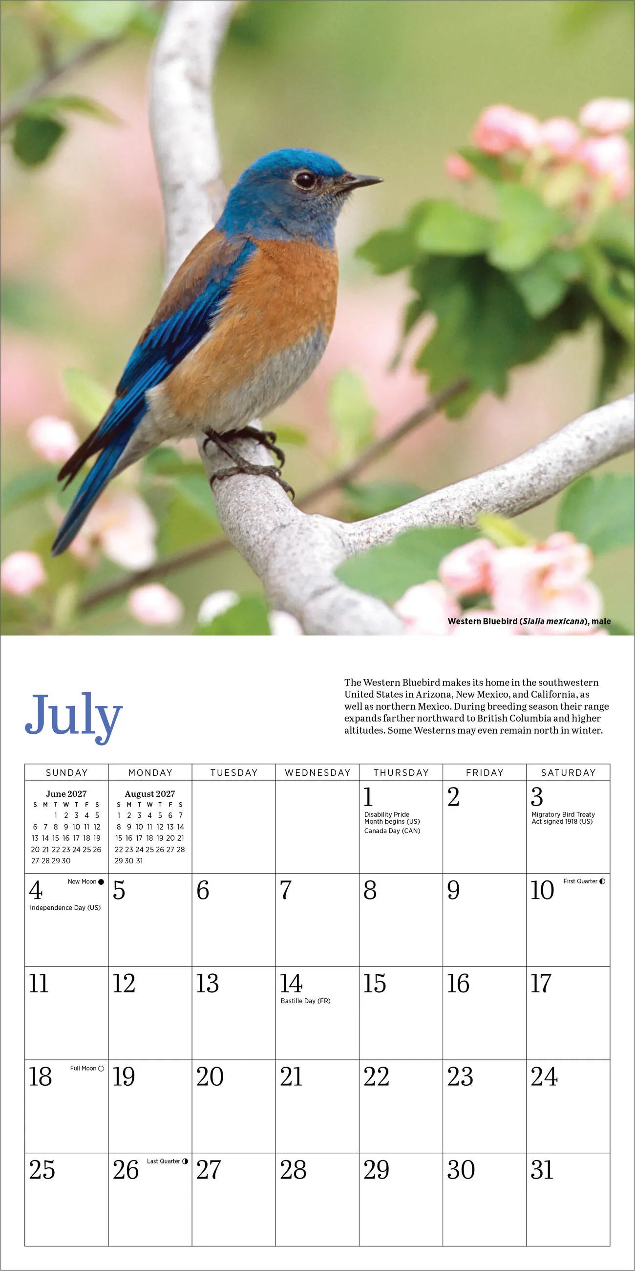 WRK Audubon Bluebirds 2027 Mini Wall Calendar