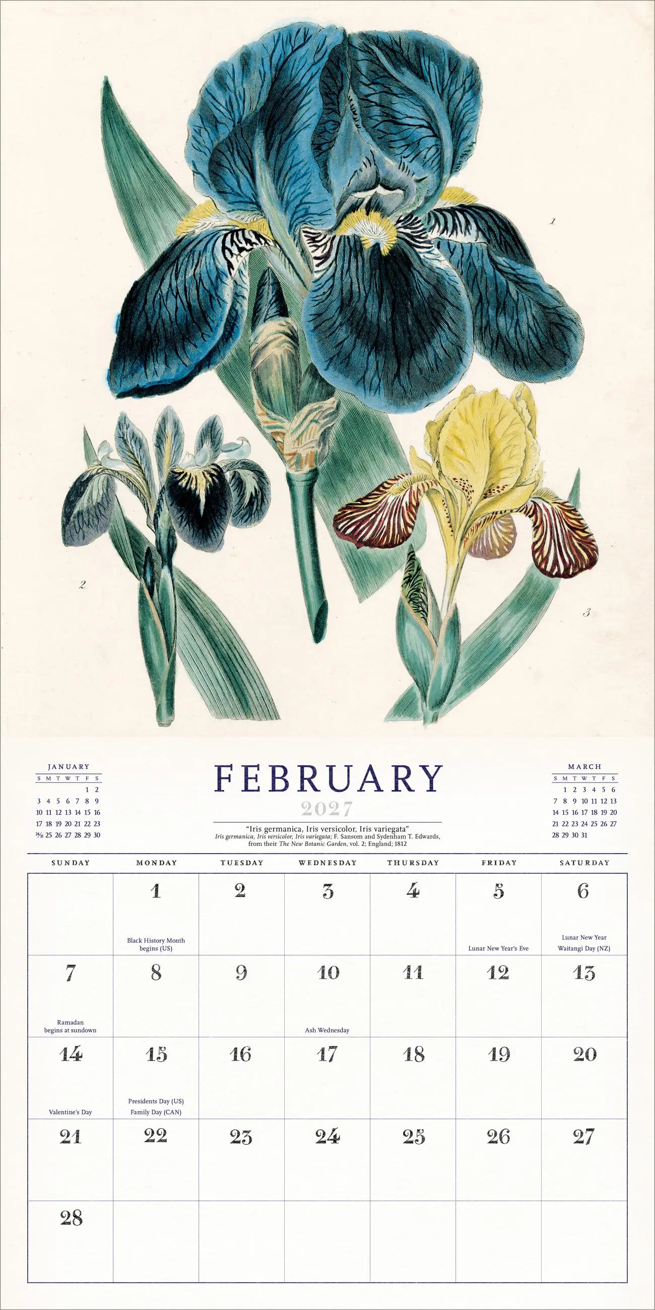 WRK The World of John Derian 2027 Wall Calendar