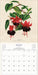 WRK The World of John Derian 2027 Wall Calendar