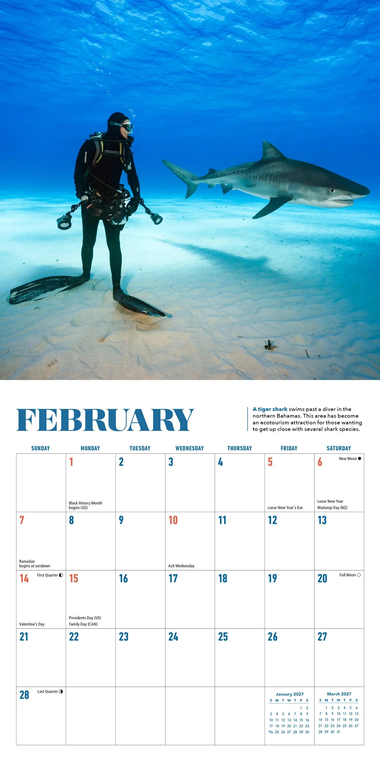 WRK Shark 2027 Mini Wall Calendar