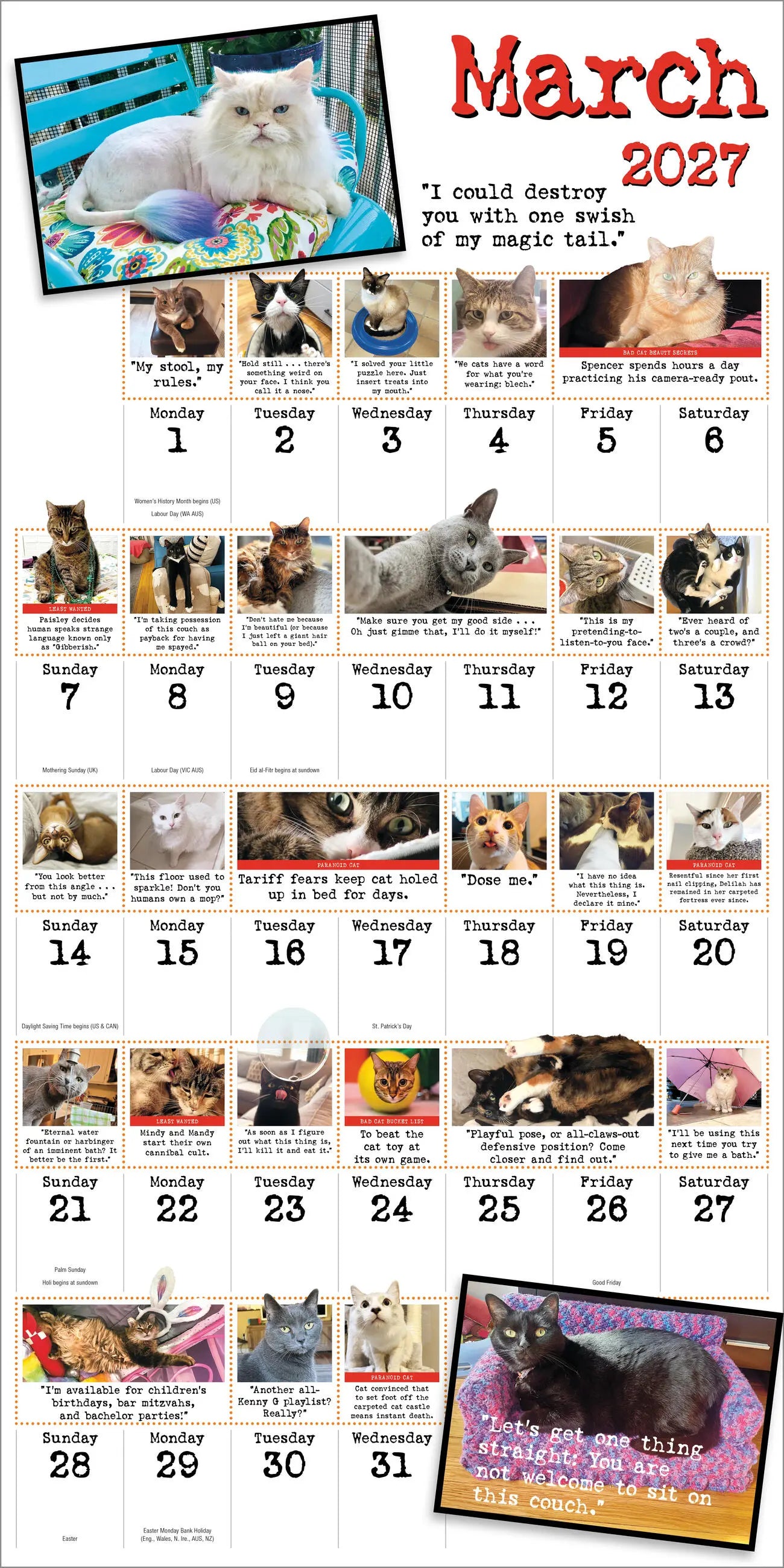 Bad Cat 2027 Wall Calendar