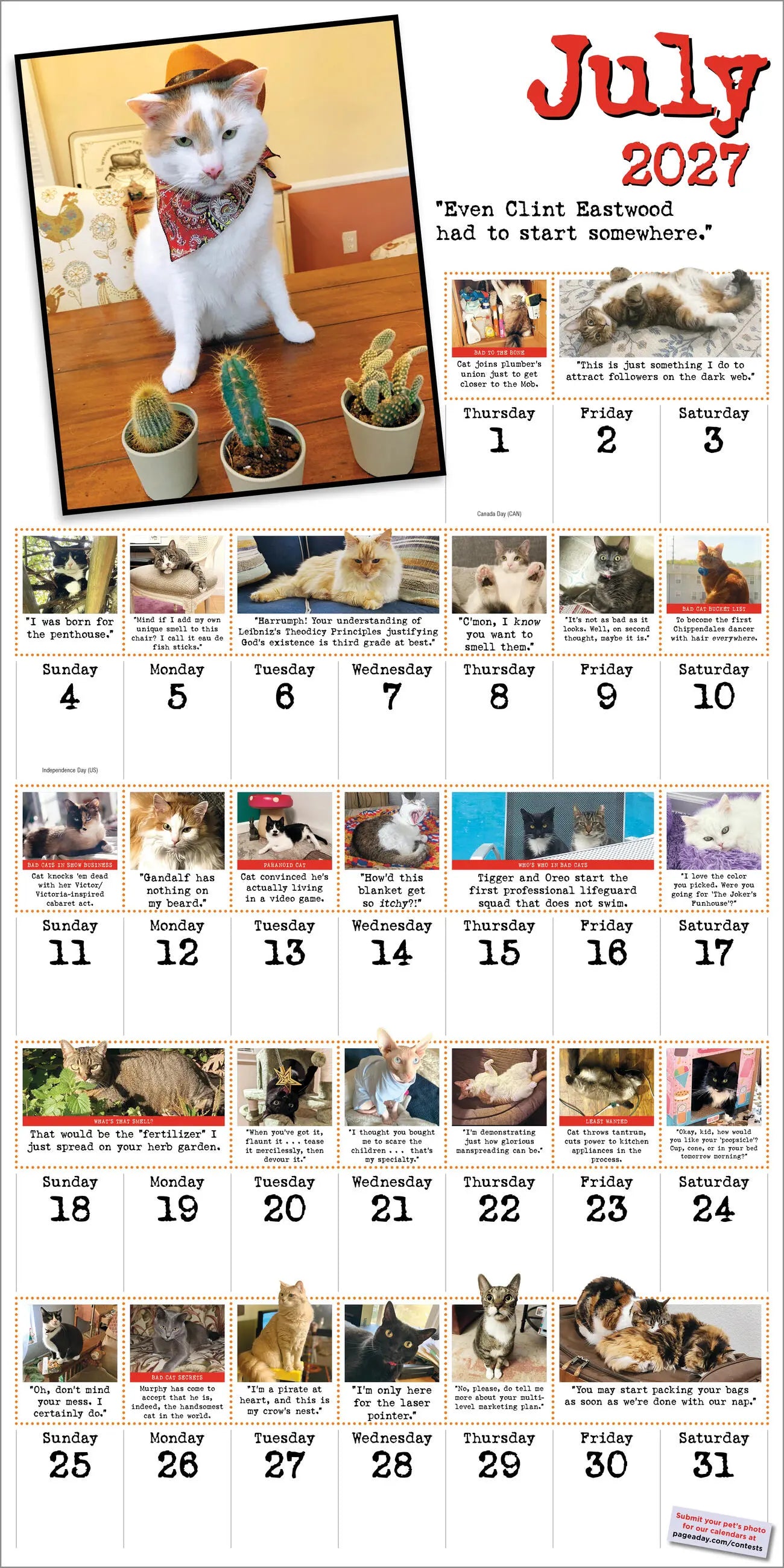 Bad Cat 2027 Wall Calendar