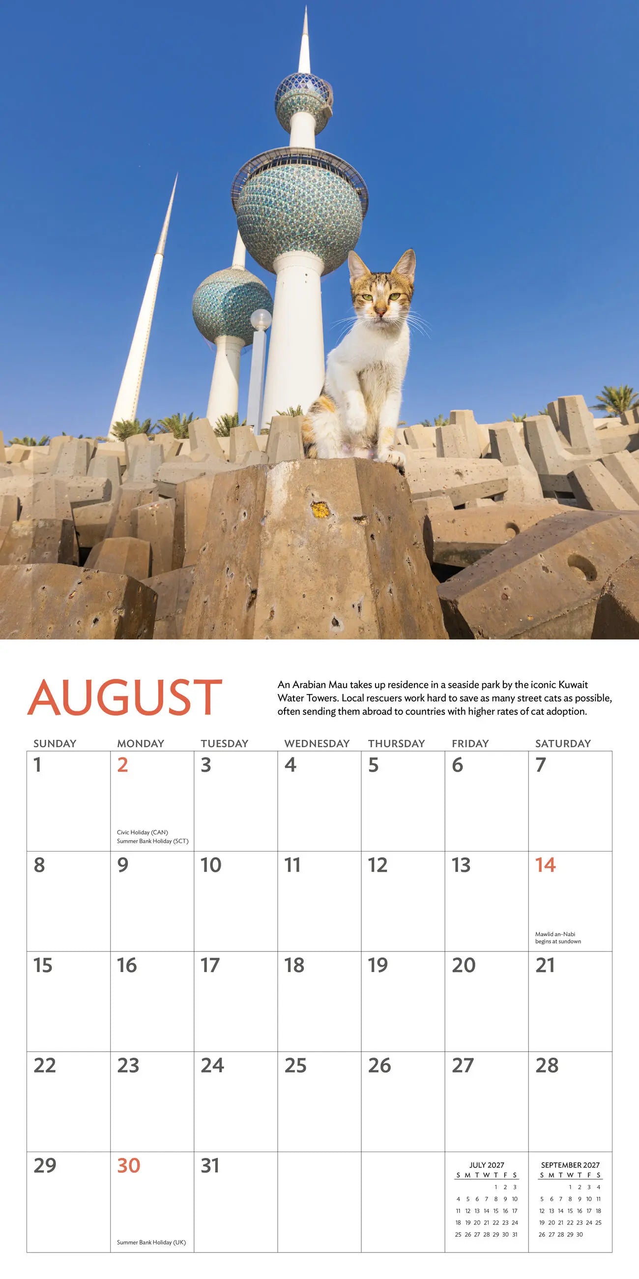Cats of the World 2027 Wall Calendar