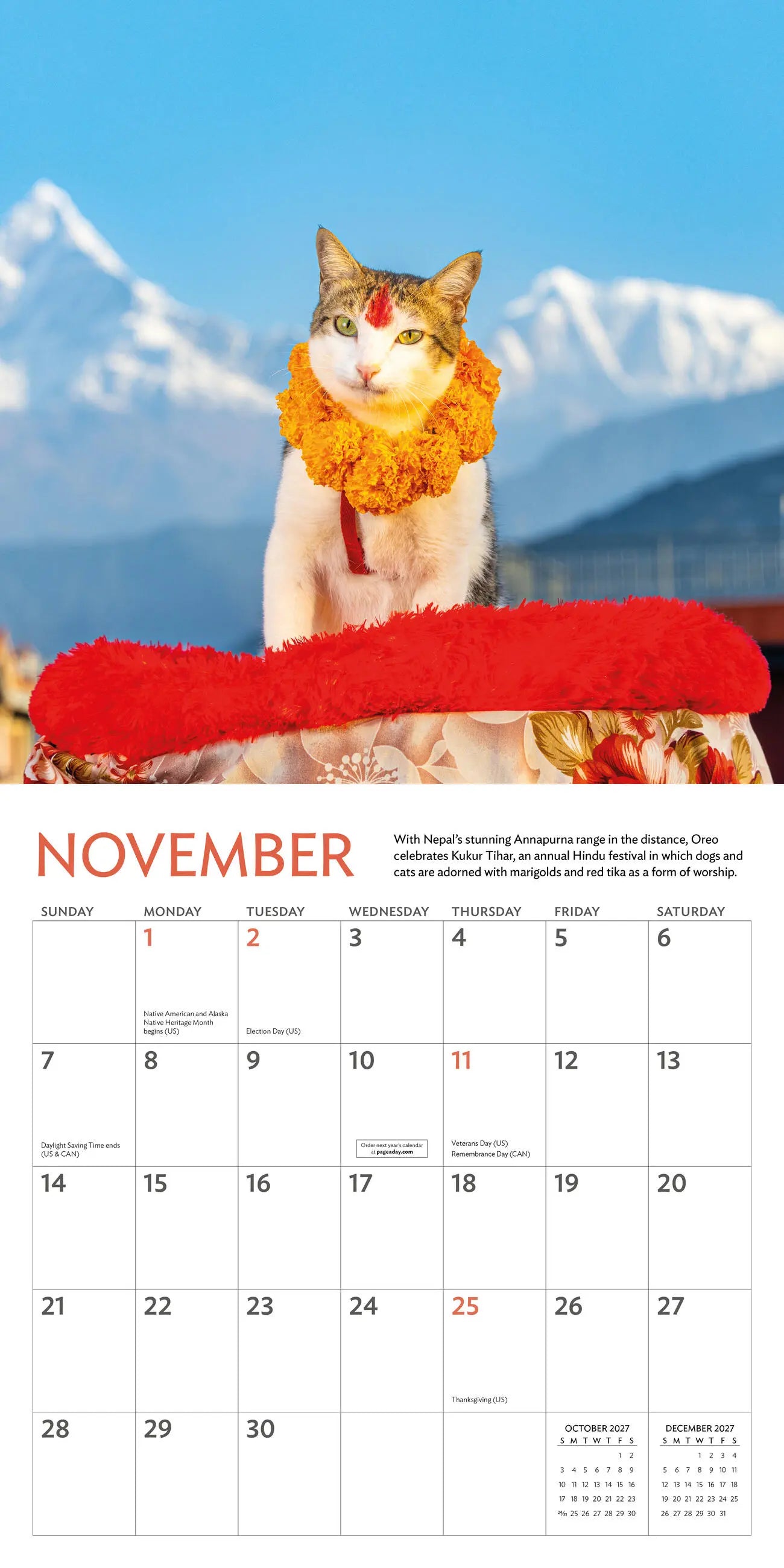 Cats of the World 2027 Wall Calendar