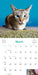 Cats on Catnip 2027 Wall Calendar