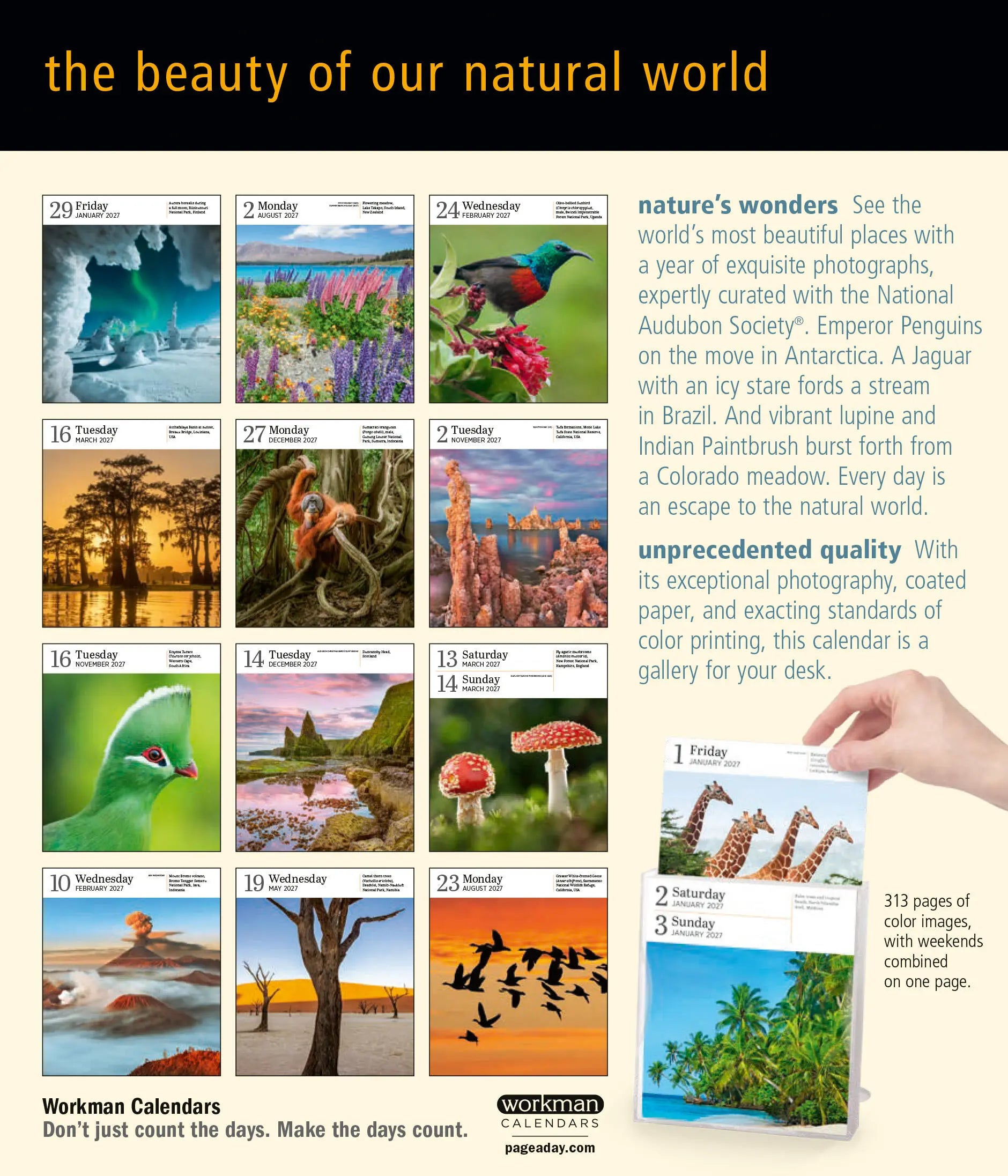 WRK Audubon Nature 2027 Page-A-Day® Gallery Calendar